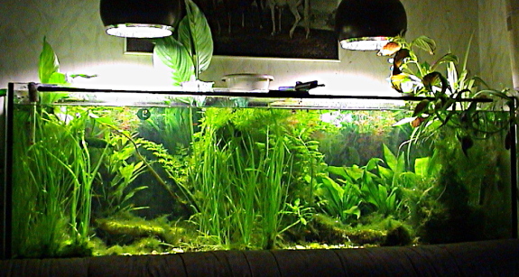 280l-Aquarium, 2007
