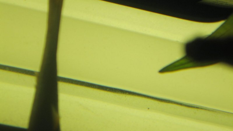 Messung Lichtquelle